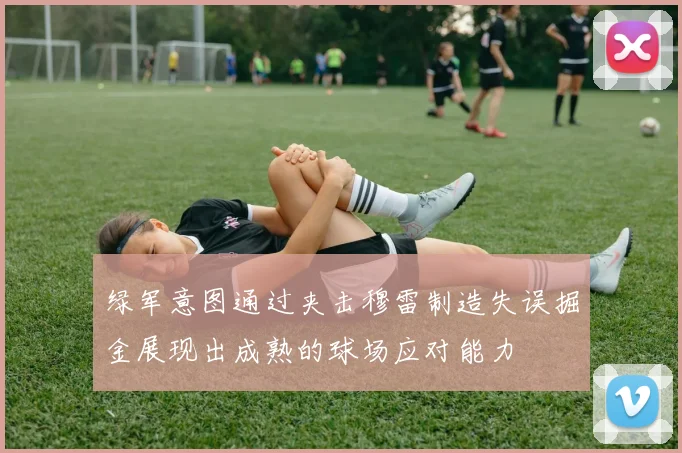绿军意图通过夹击穆雷制造失误掘金展现出成熟的球场应对能力